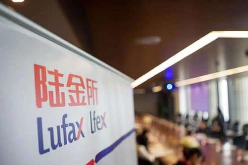 陸金所上市背后 金融科技獨(dú)角獸的金融中介本質(zhì)